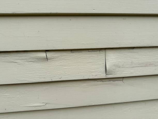 Same-Day Junk Removal Services in Marshalltown, IA